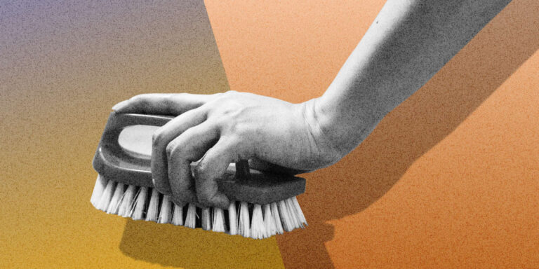 Punaises de lit : une désinfection qui coûte cher aux propriétaires